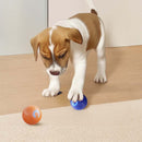 🎯Hot Sale 49% OFF Today🔥Rechargeable Pet Interactive Motion Ball with Lights - vimin